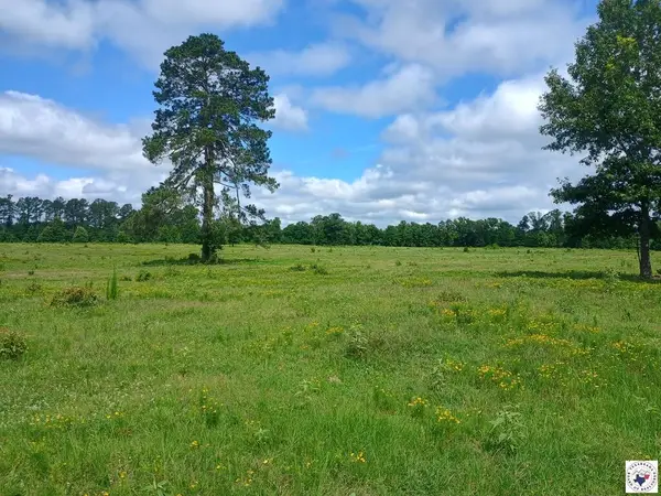 TBD Tract 9 Hwy 990, Simms, TX 75574