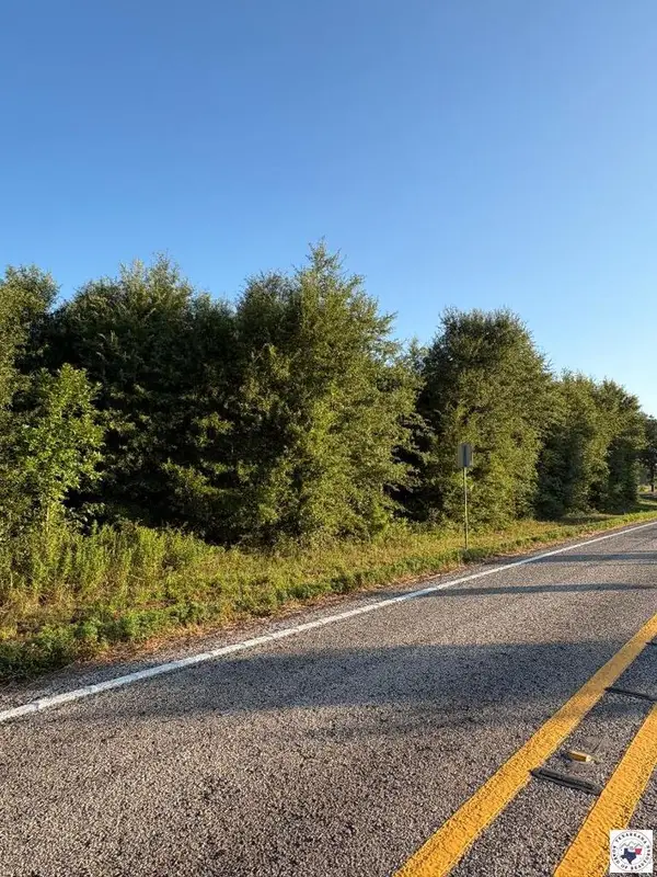 TBD Tract 12 Hwy 990, Simms, TX 75574