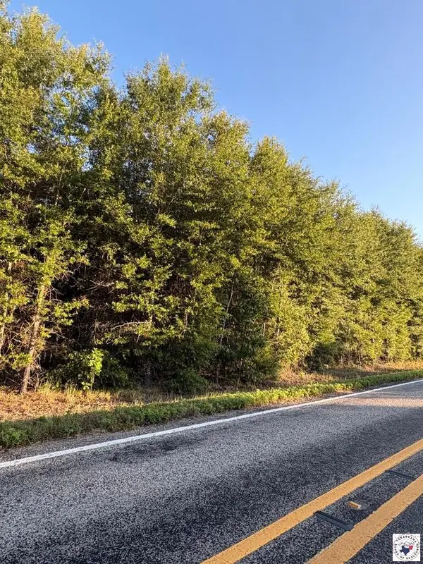 TBD Tract 17 Hwy 990, Simms, TX 75574