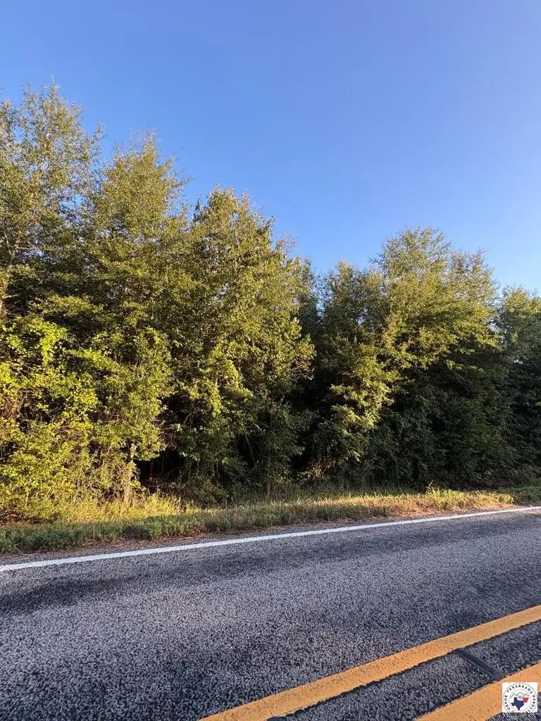 TBD Tract 18 Hwy 990, Simms, TX 75574 - #3