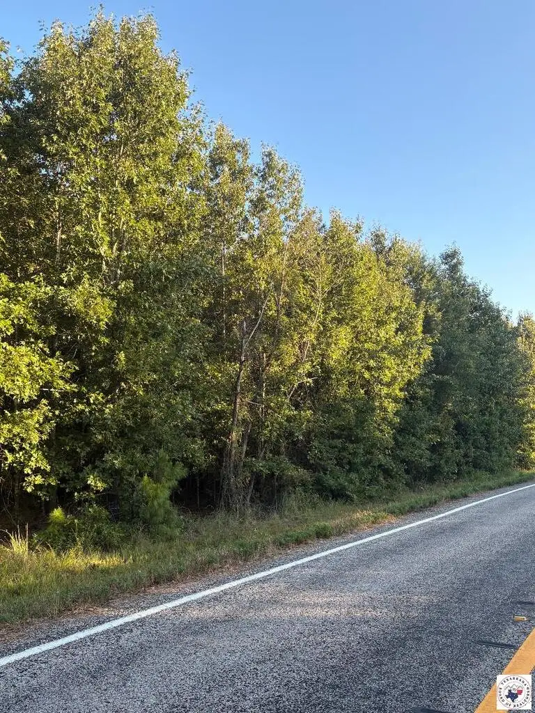 TBD Tract 19 Hwy 990, Simms, TX 75574 - #1
