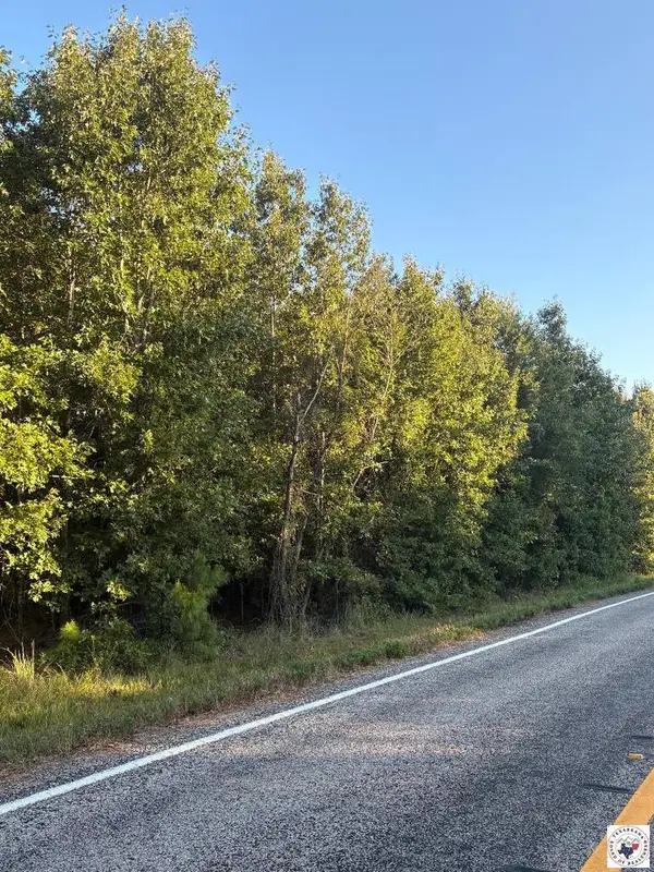 TBD Tract 19 Hwy 990, Simms, TX 75574