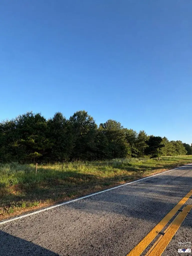 TBD Tract 11 Hwy 990, Simms, TX 75574 - #1