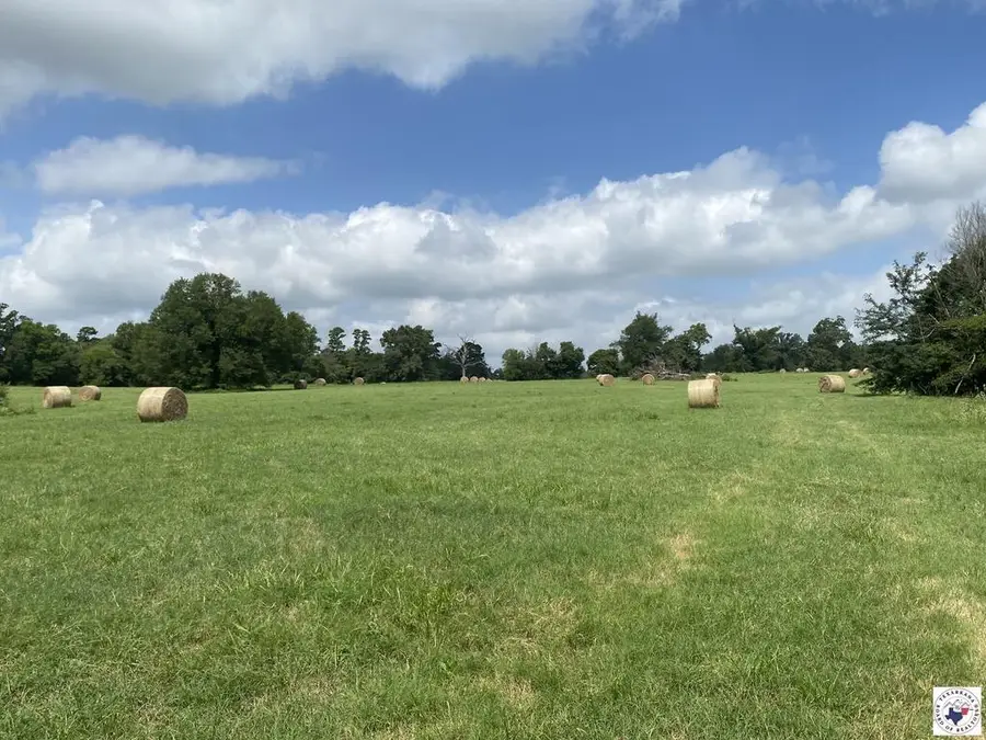 3841 Sw Cr 3170, Winnsboro, TX 75494 - #2