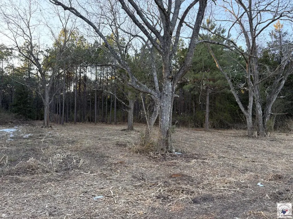 00 Fm 250, Naples, TX 75568 - #1