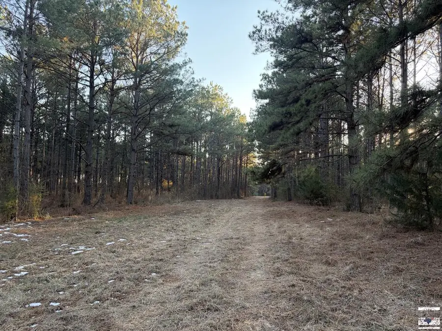 00 Fm 250, Naples, TX 75568 - #2