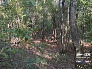 TBD Pr 1088, Fouke, AR 71837 - #1