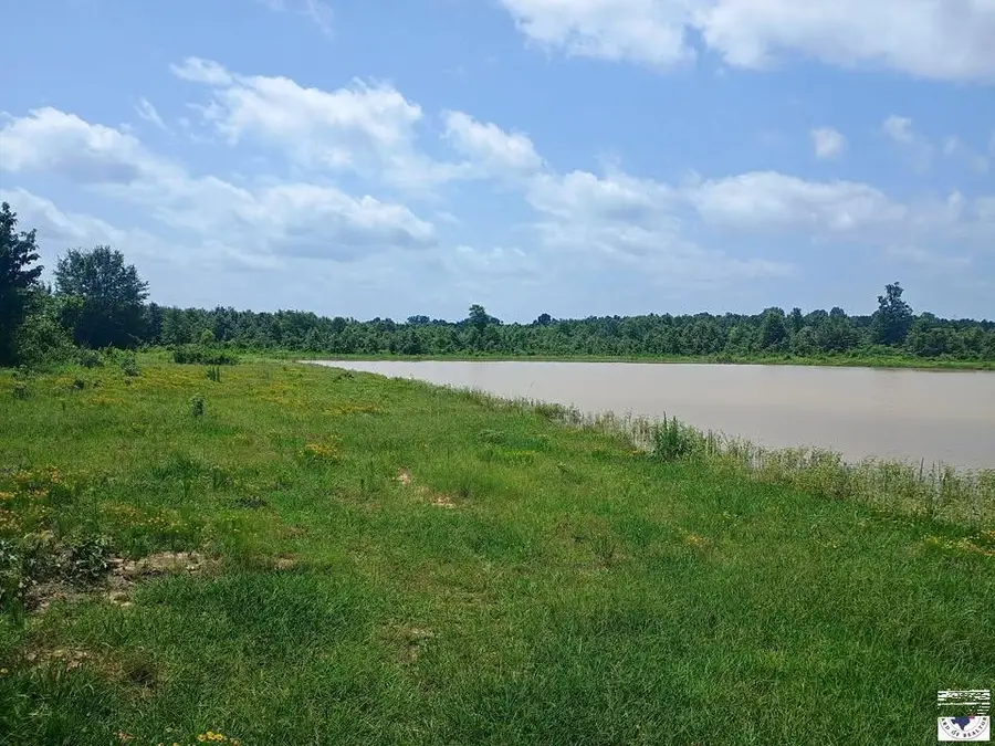 TBD Tract 7,8,9 Hwy 990, Simms, TX 75574 - #2