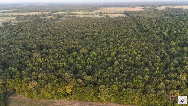 23 Lr County Road, Ashdown, AR 71822