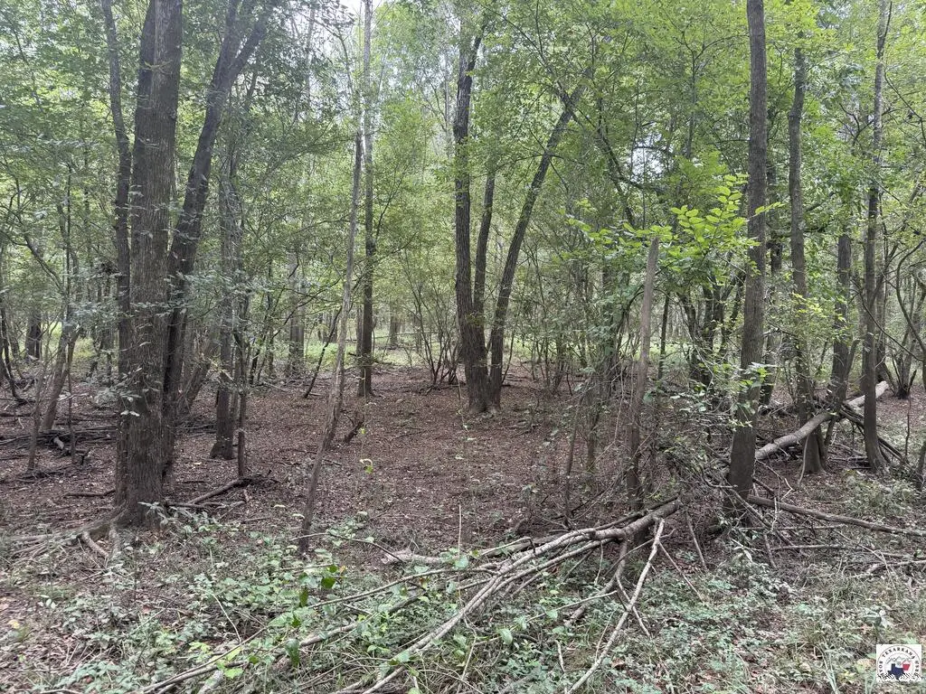 TBD Cr 4126, Maud Redwater, TX 75770 - #1