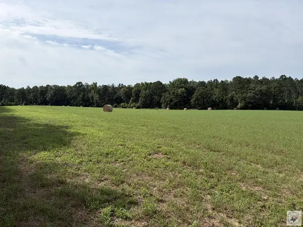 TBD Cr 4565, Bivins, TX 75555