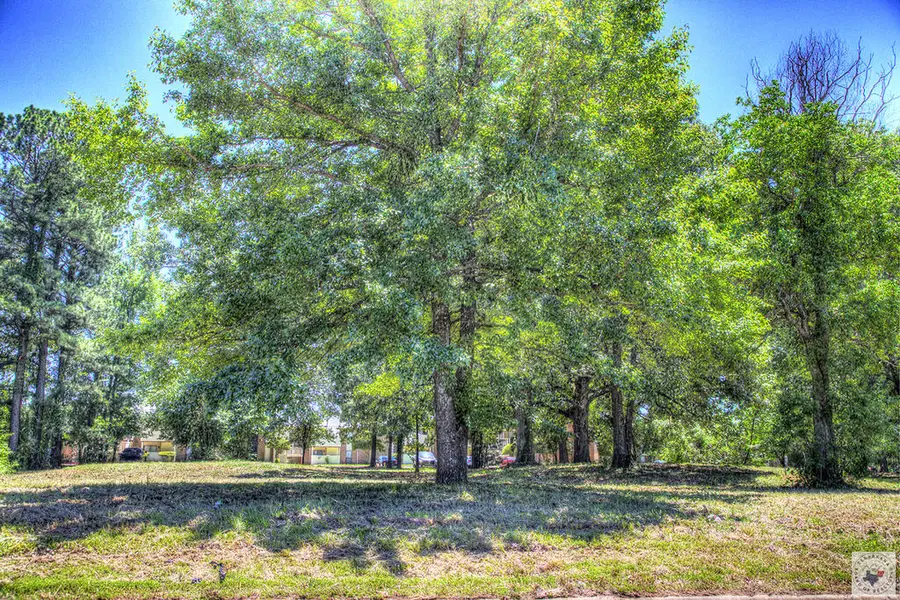 0 Ricmond Meadow, Texarkana, TX 75503 - #2