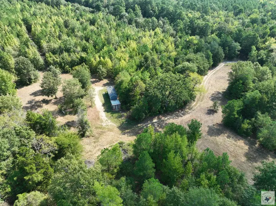 TBD Cr 1349, Linden, TX 75563 - #3