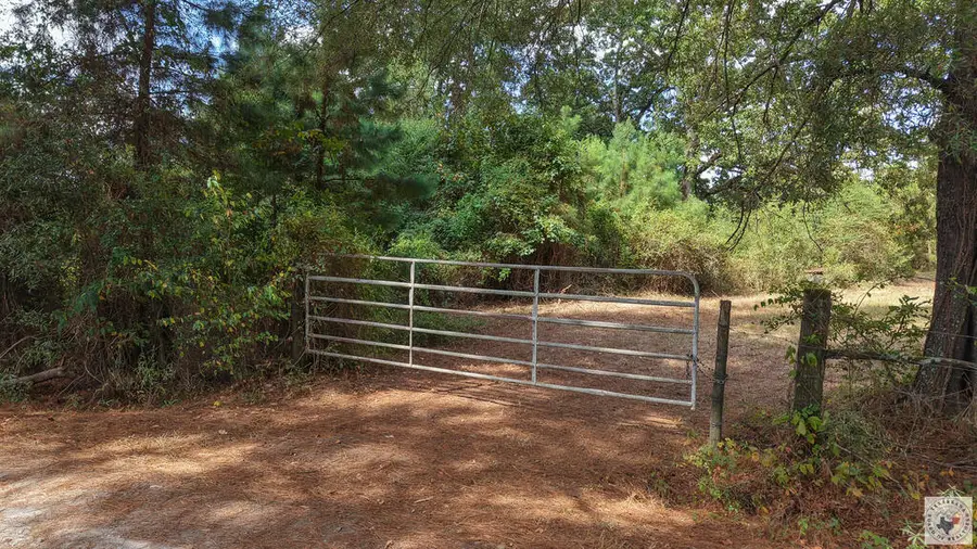 0000 County Road 3209, De Kalb, TX 75559 - #2