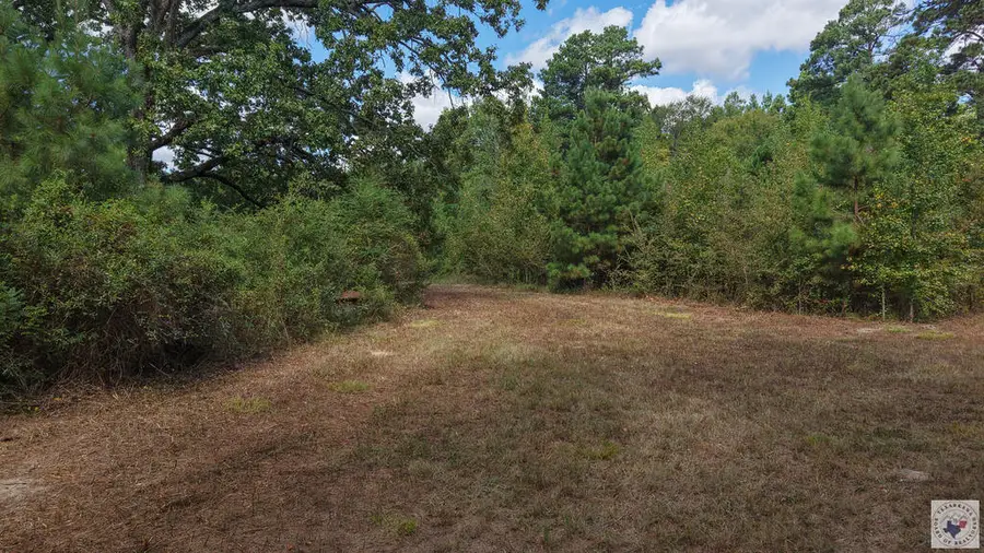 0000 County Road 3209, De Kalb, TX 75559 - #3
