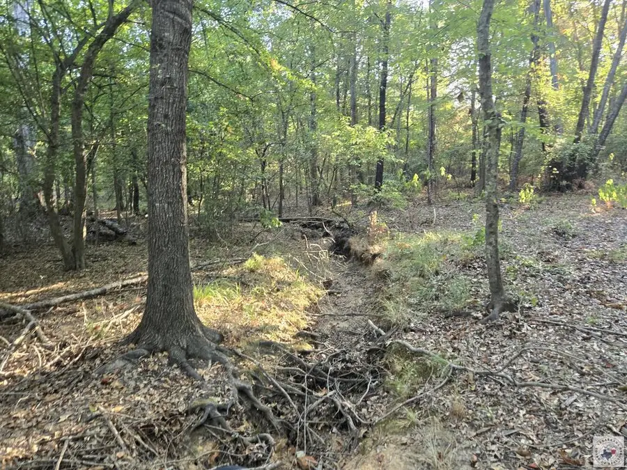 TBD Fm 852, Gilmer, TX 75644 - #2