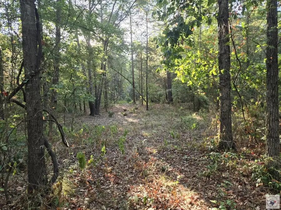TBD Fm 852, Gilmer, TX 75644 - #3