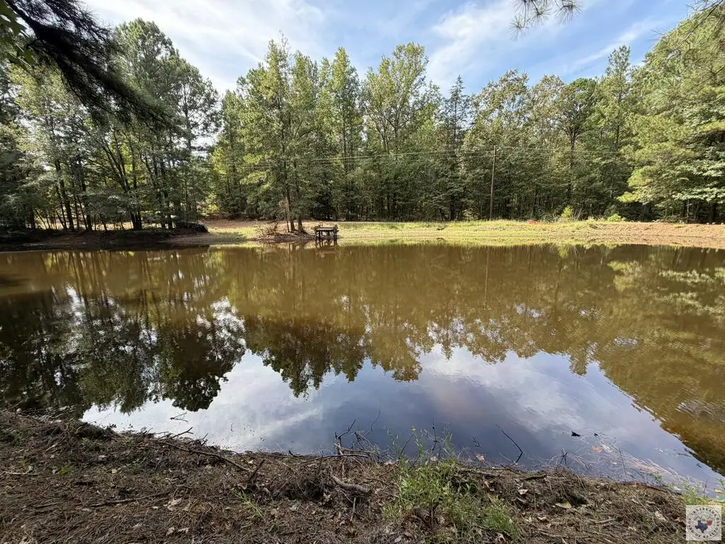8076 S Fm 251, Bivins, TX 75555 - #1
