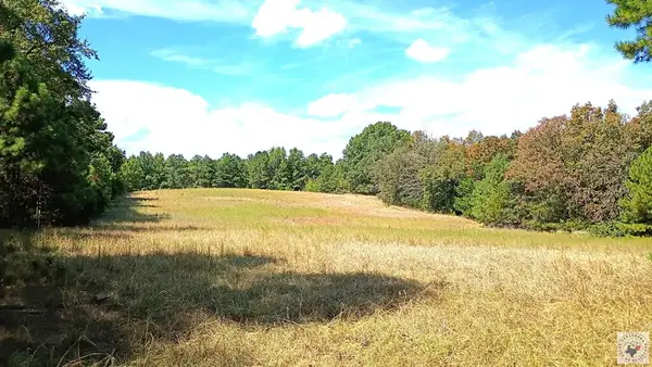 TBD Cr 3774, Queen City, TX 75572