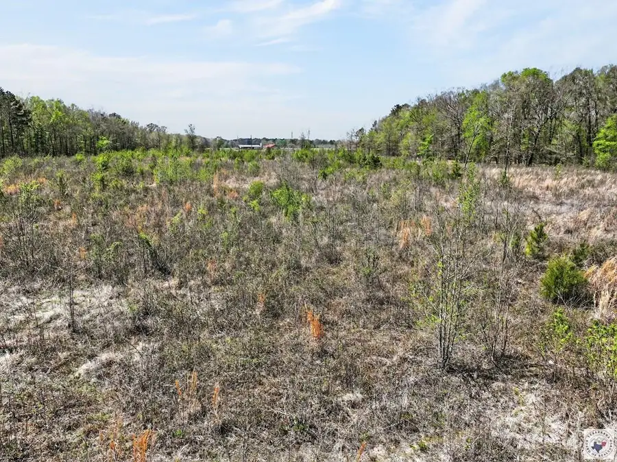 0 County Road 4223, Simms, TX 75574 - #3