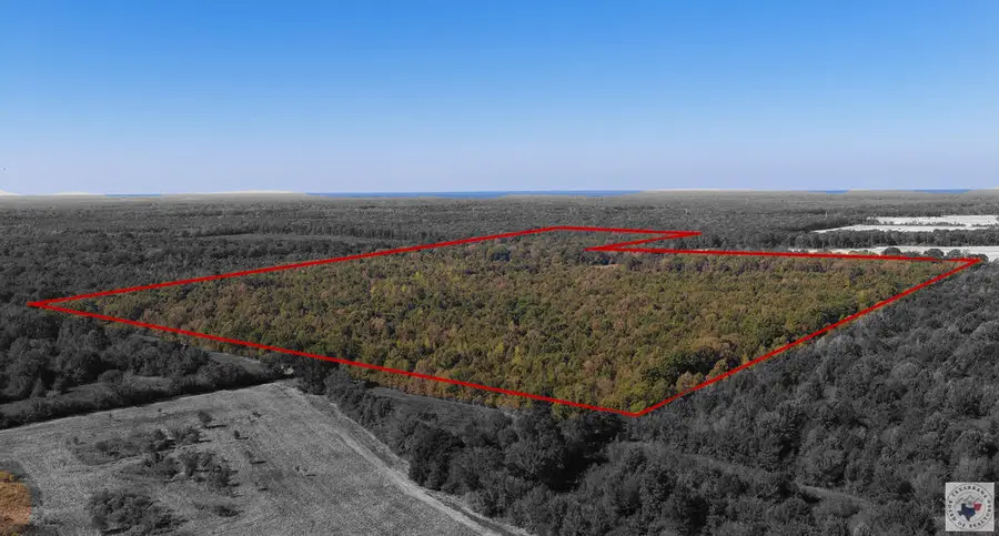 1773 Cr 4306, Dalby Springs Simms, TX 75559 - #2