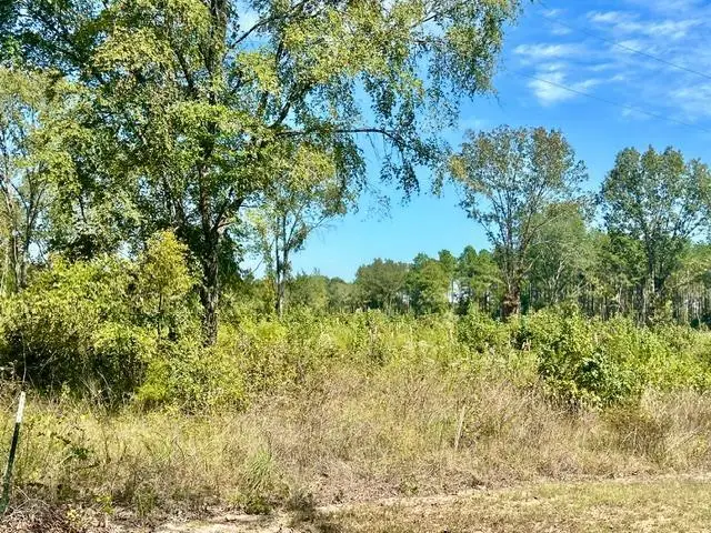 TBD Cr 1111, Atlanta, TX 75551 - #2