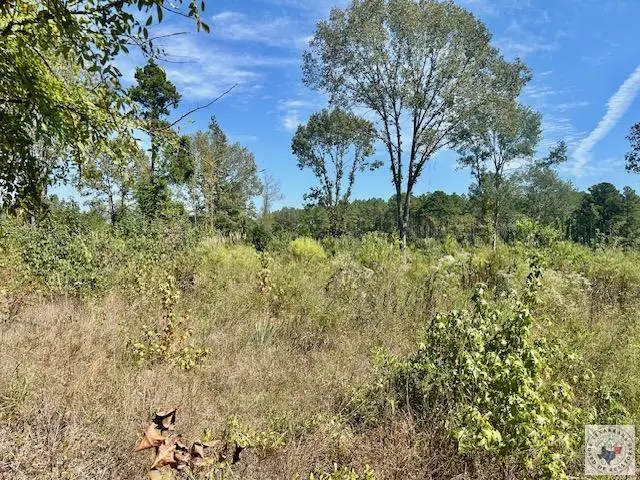 TBD Cr 1111, Atlanta, TX 75551 - #3