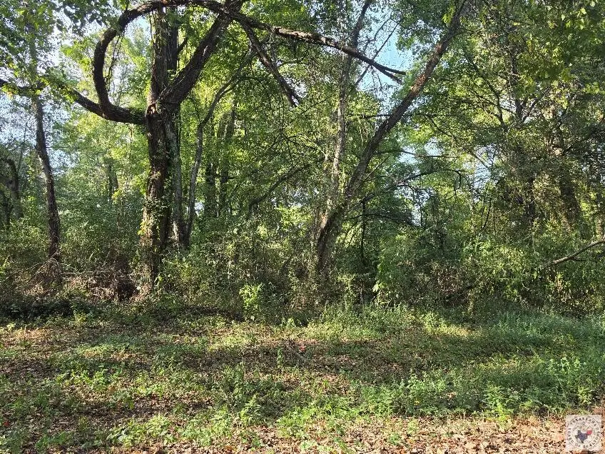 426 Park Ave, Nash, TX 75569 - #2