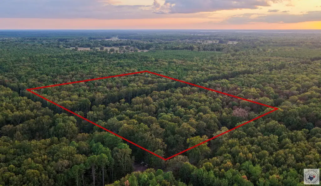 CR-22 Cr-22, Lewisville, AR 71845 - #1