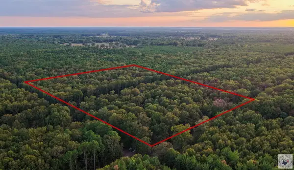 CR-22 Cr-22, Lewisville, AR 71845