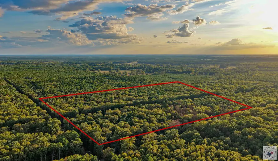 CR-22 Cr-22, Lewisville, AR 71845 - #2