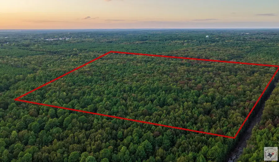 CR-22 Cr-22, Lewisville, AR 71845 - #3