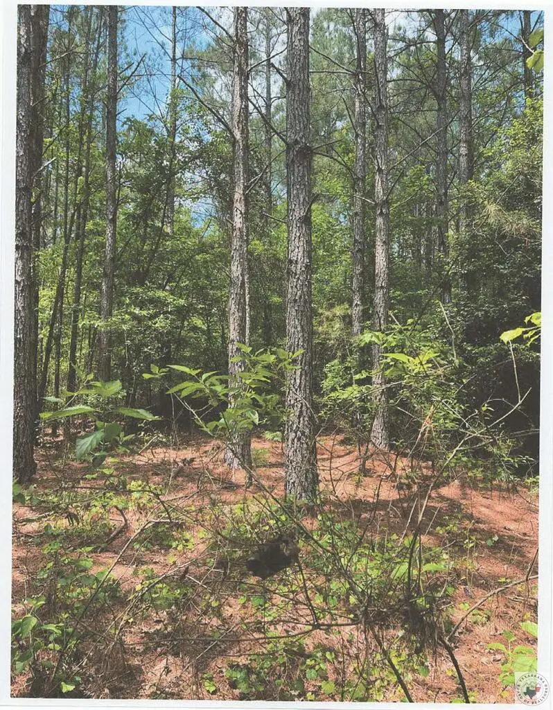 No Number Turk Road, Texarkana, AR 71854 - #1