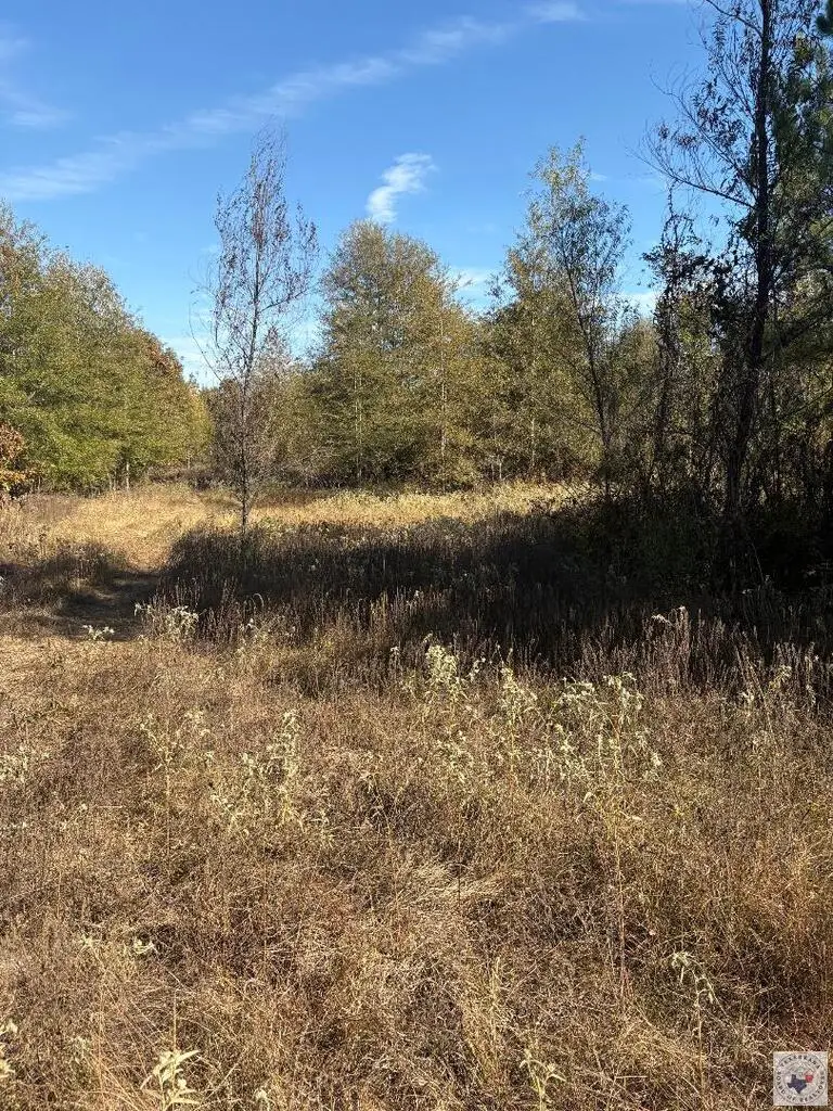 TBD Tract 14 Hwy 990, Simms, TX 75574 - #1