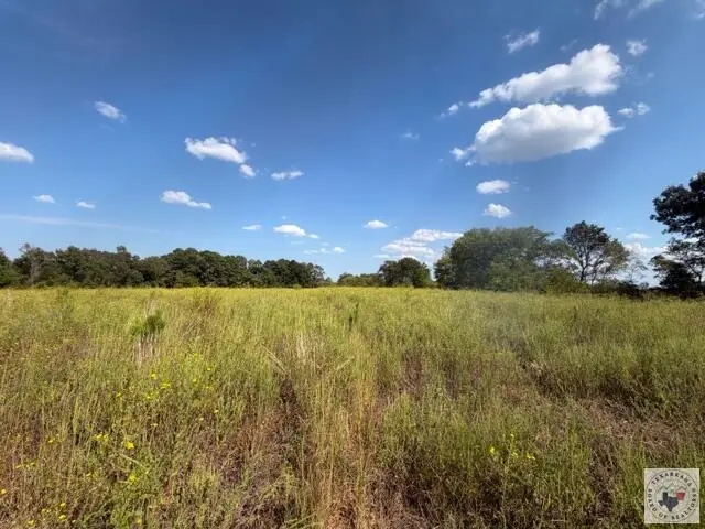 4467 Hwy 338, Naples, TX 75568 - #1