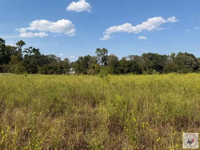 4467 Hwy 338, Naples, TX 75568 - #2