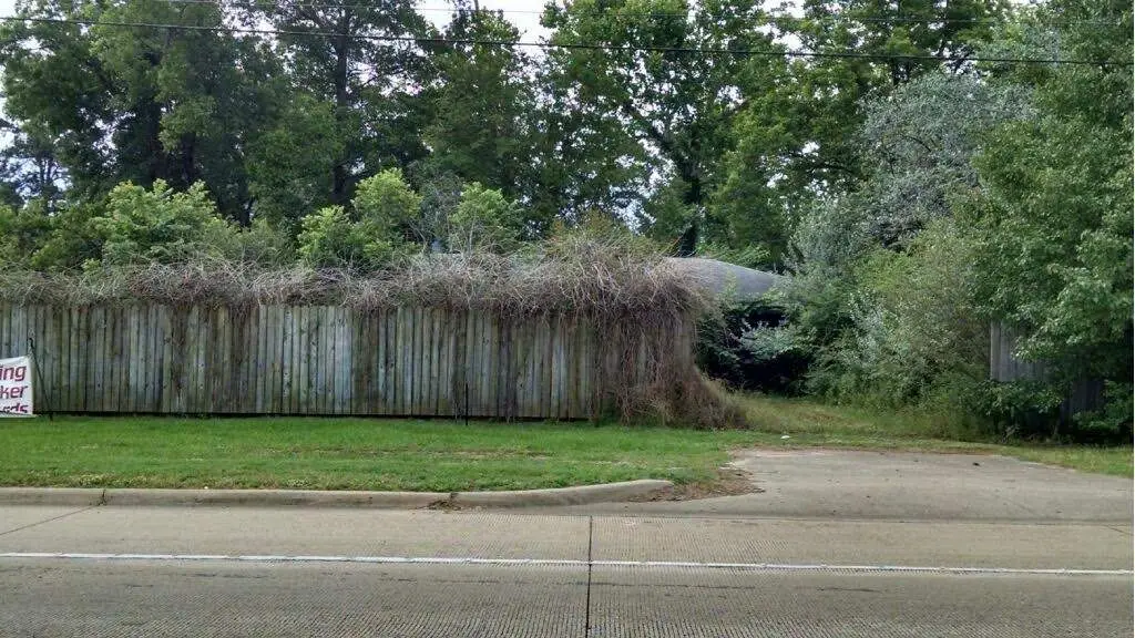 2105 W Main Street, Atlanta, TX 75551 - Image #1