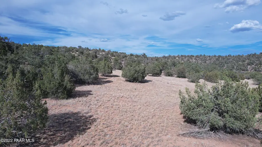 52471 N Camino Gato, Seligman, AZ 86337 - Image #2