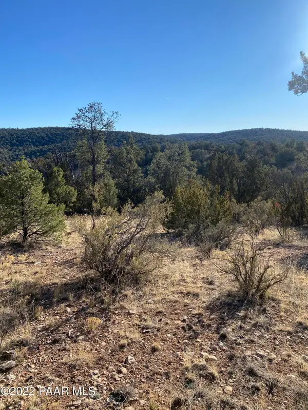 51844 N Cordero Road, Seligman, AZ 86337