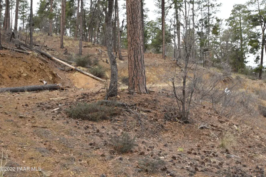 4850 S View Road, Prescott, AZ 86303 - Image #3