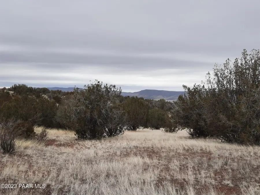 57139 N Bridge Canyon Parkway, Seligman, AZ 86337 - Image #3