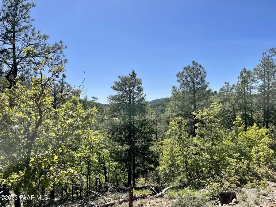 807x Snowdrift Mine Road, Prescott, AZ 86303 - Image #3