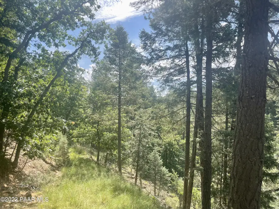 334x E Sheldon Road, Prescott, AZ 86303 - Image #2