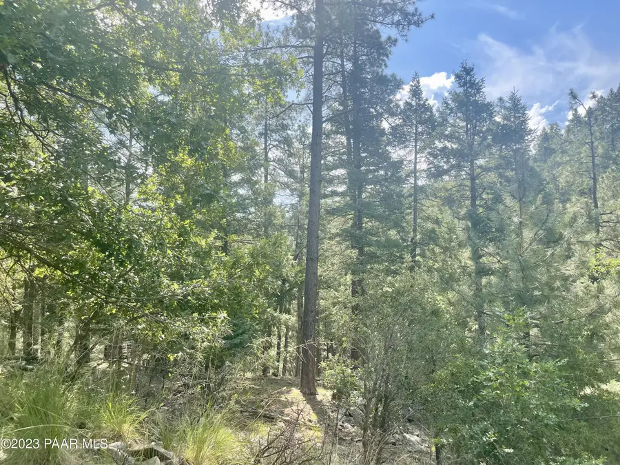 334x E Sheldon Road, Prescott, AZ 86303 - Image #3