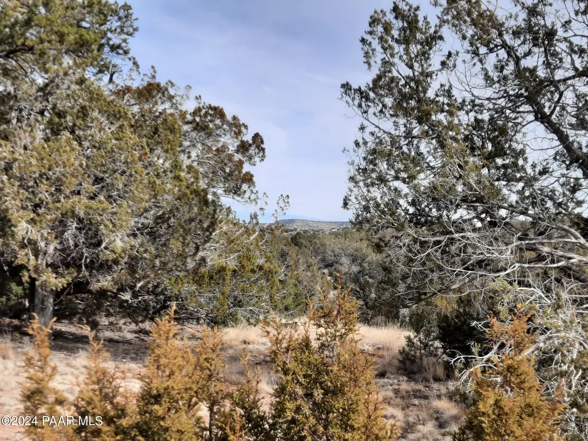 54353 N Shadow Mountain Parkway, Seligman, AZ 86337 - Image #1