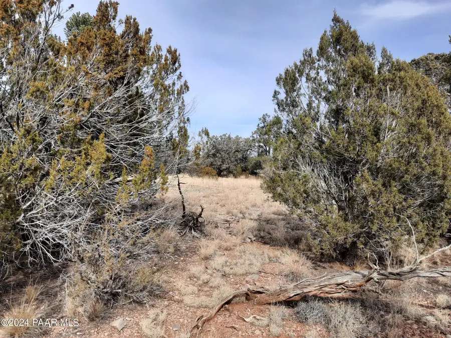 54353 N Shadow Mountain Parkway, Seligman, AZ 86337 - Image #2