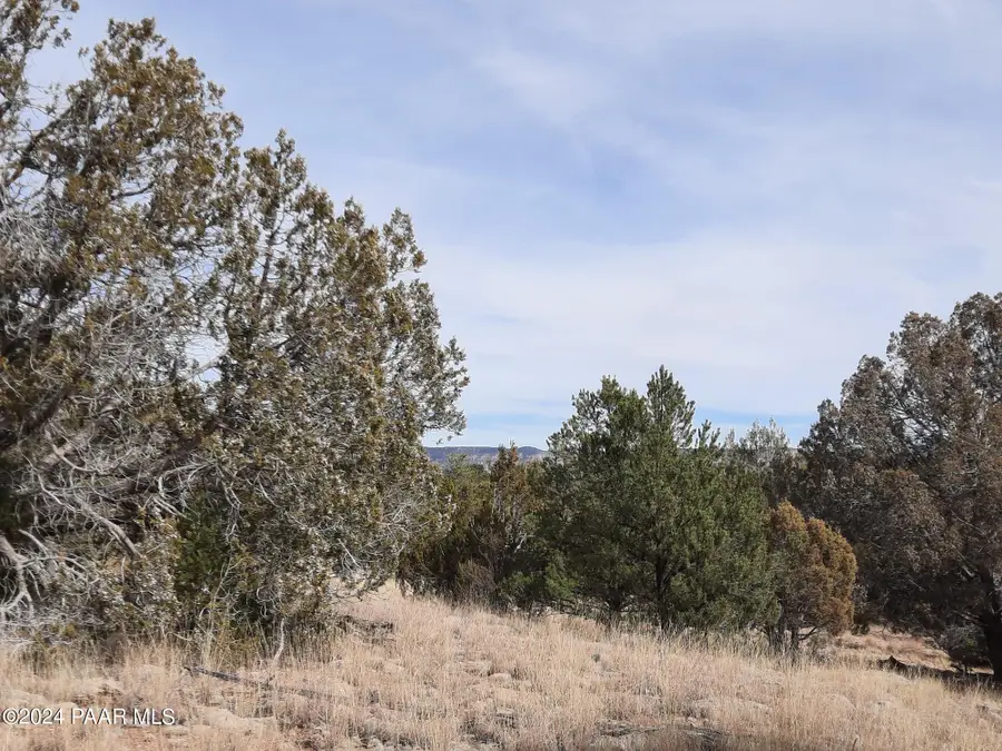 54353 N Shadow Mountain Parkway, Seligman, AZ 86337 - Image #3