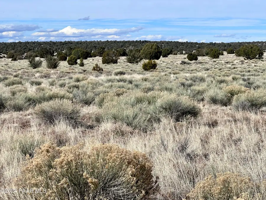 67 Wooden Ear / Roaming Way, Seligman, AZ 86337 - Image #2