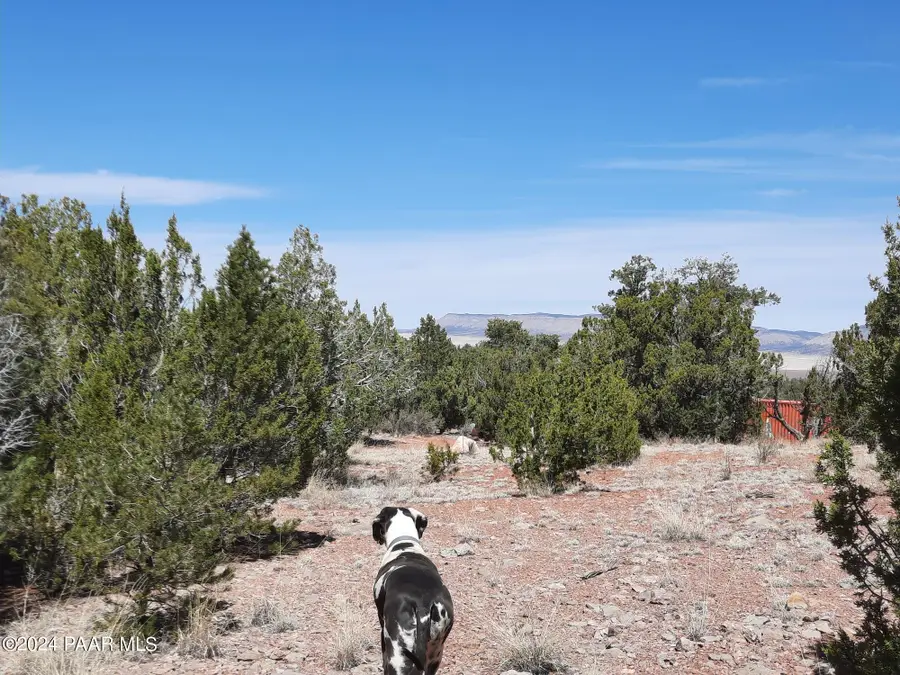 31395 W Bootis Circle, Seligman, AZ 86337 - Image #2