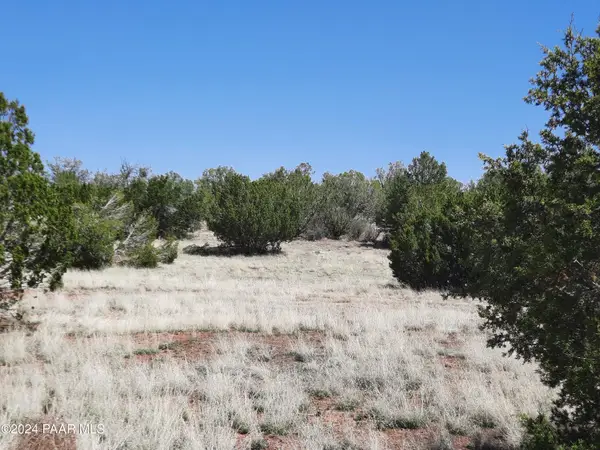 56673 N La Carro Lane, Seligman, AZ 86337